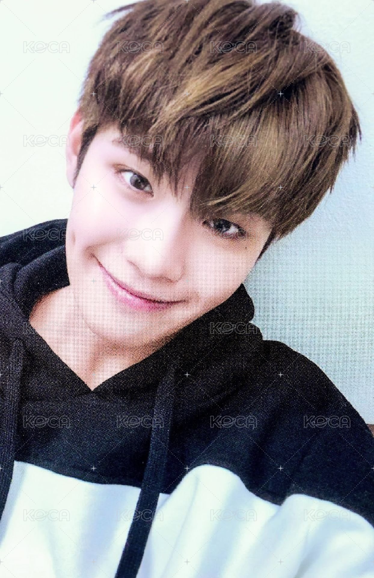 世巡TW 周邊卡 故事書 固配卡 正面