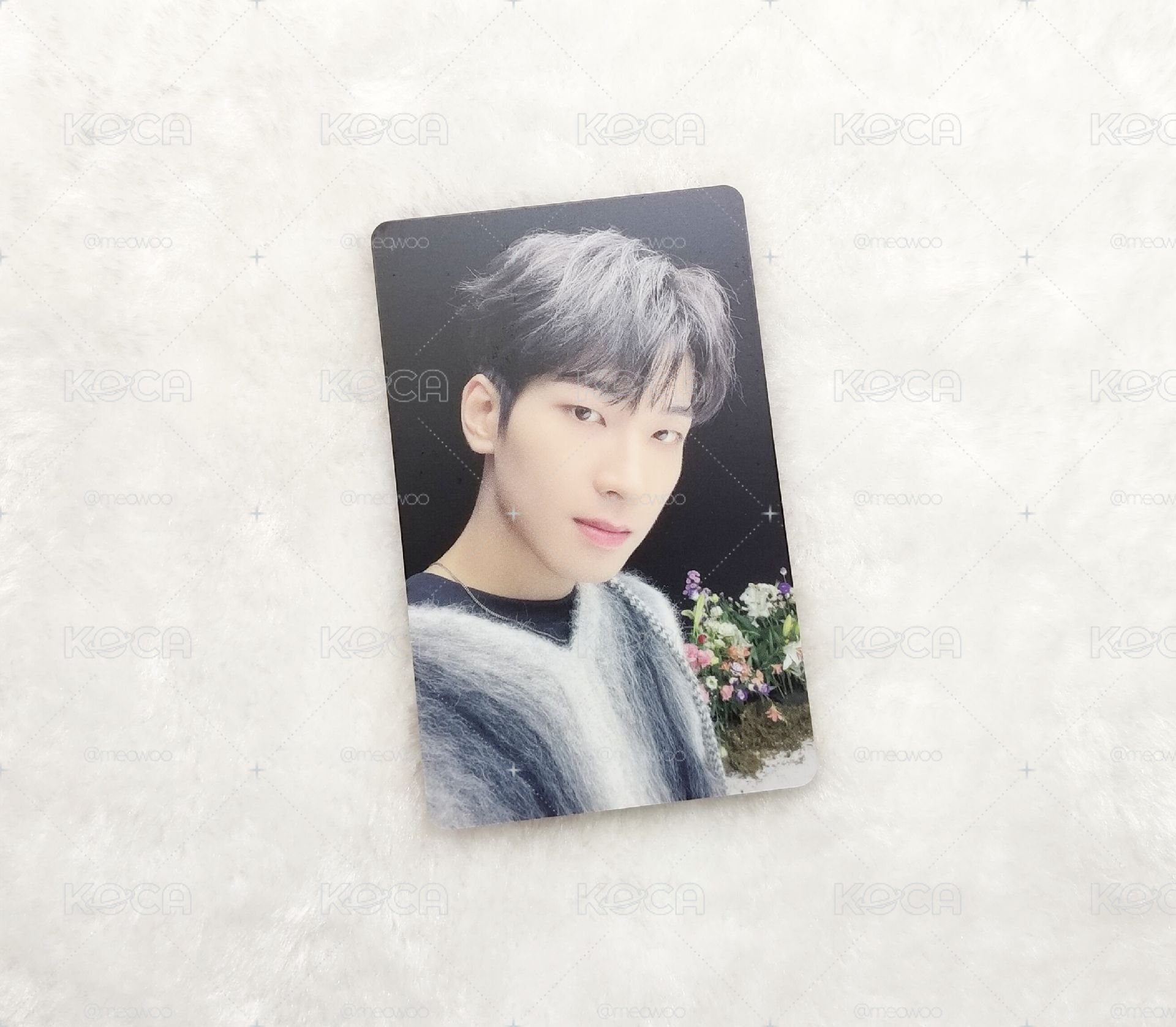 SEVENTEEN 迷9 圓佑小卡 毛衣圓