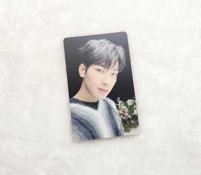 SEVENTEEN 迷9 圓佑小卡 毛衣圓