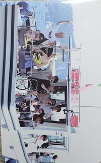 NANATOUR 周邊卡 