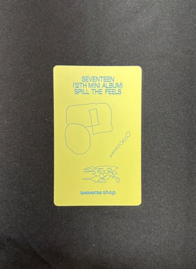 迷你12 WVS 特典卡 燦