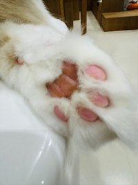 ㅎㅎ
