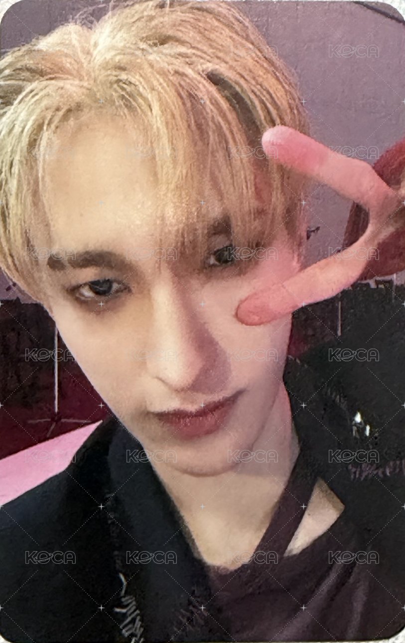 精選專 wm 特典卡  正面