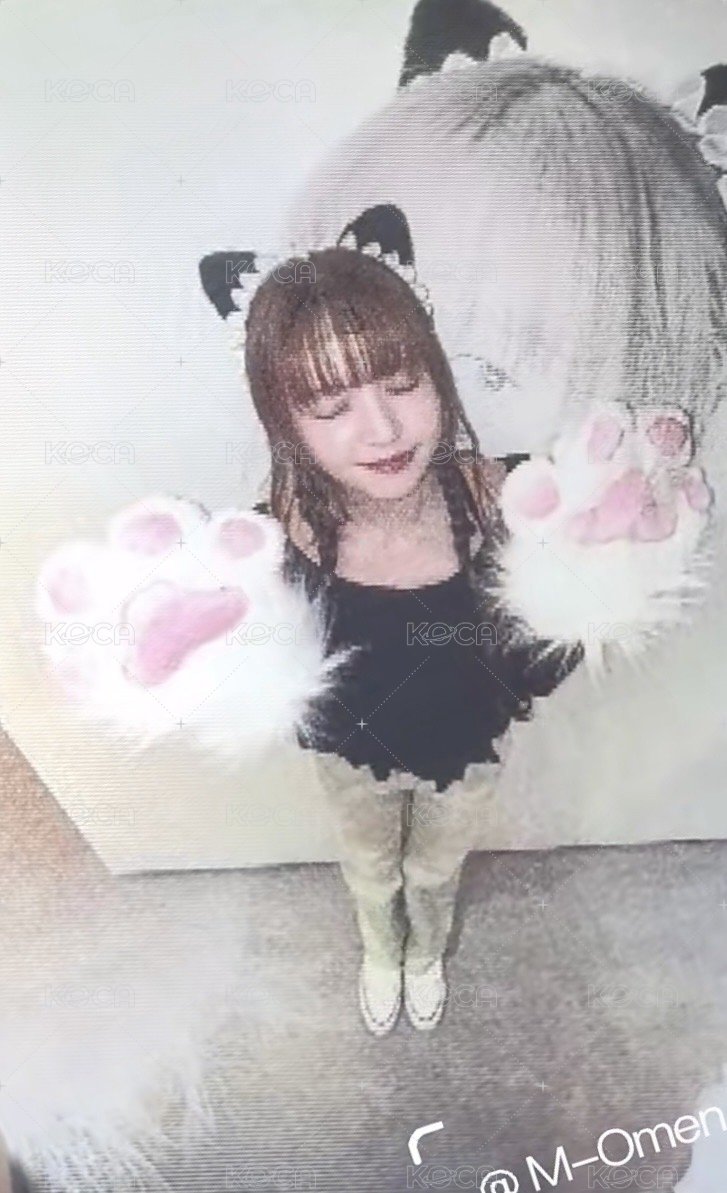 FORWARD 數星星 3.0 簽售卡 喵喵拳 變化卡 背面