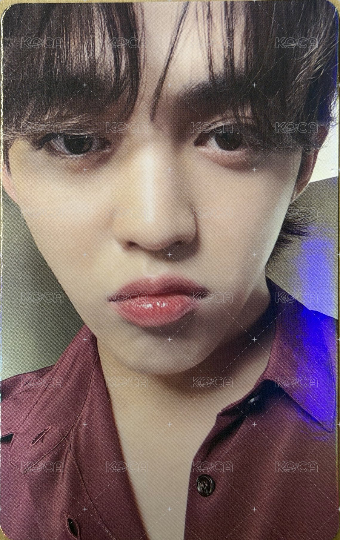 MINI10 日咖 克拉盤特典 特典卡  正面