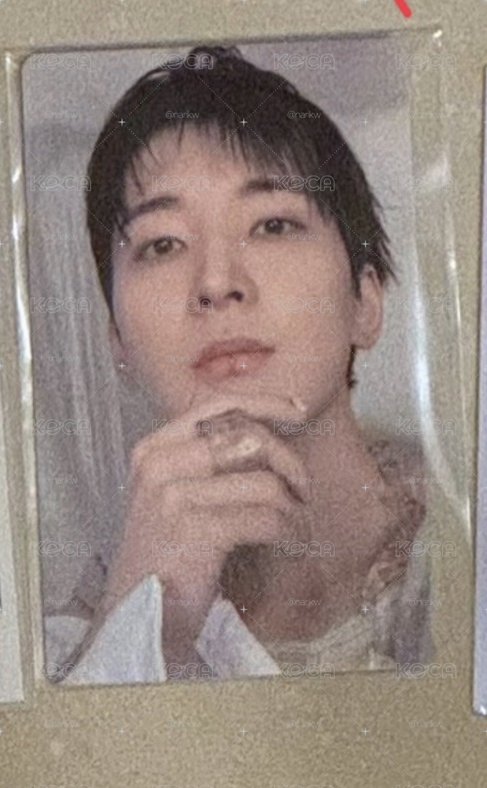 圓佑 正五 wvs特典卡