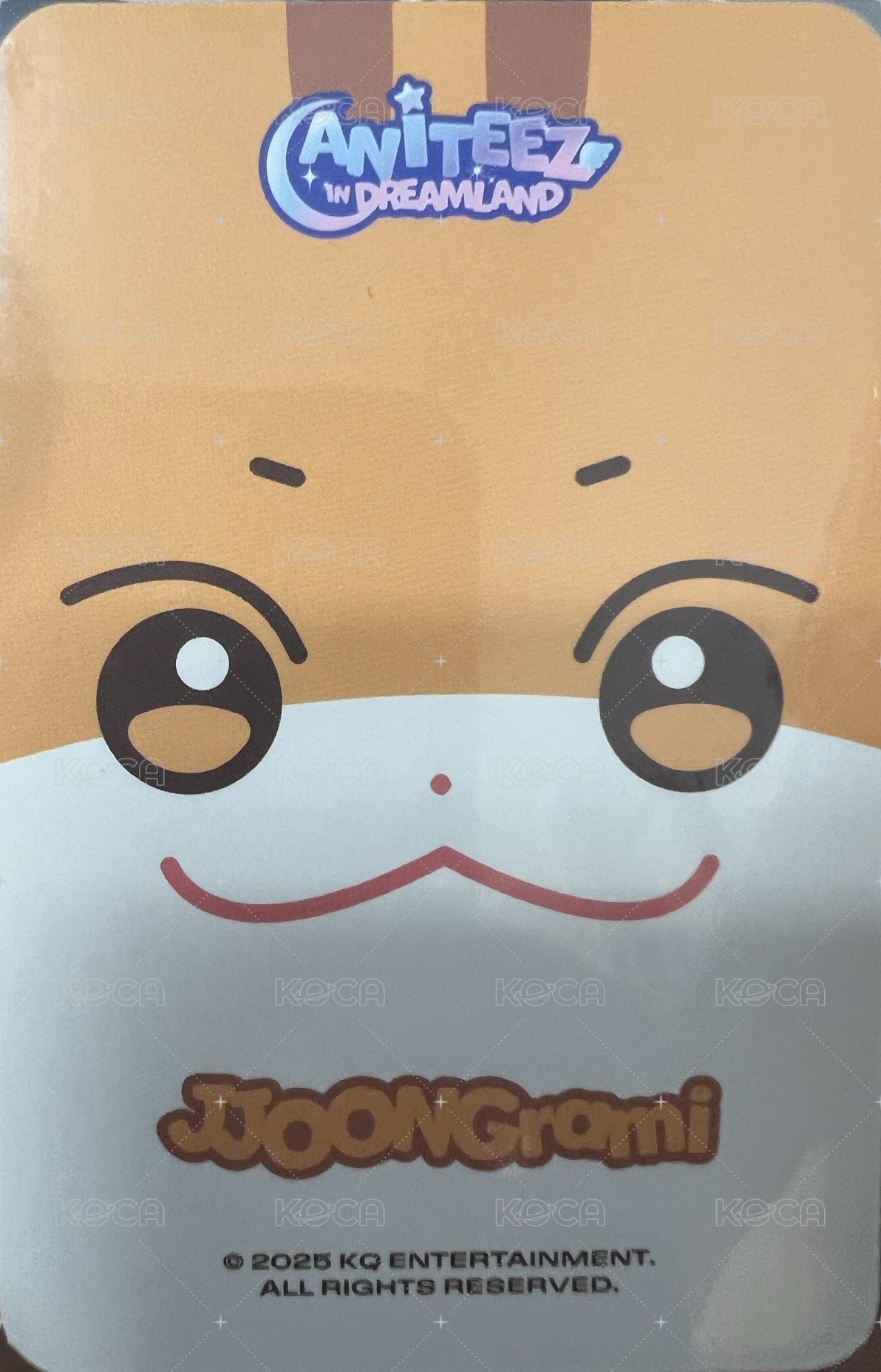 ANITEEZ IN DREAMLAND 周邊卡 大頭吊飾卡 背面