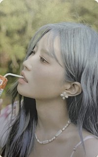 STW 專輯卡 WVS ver.