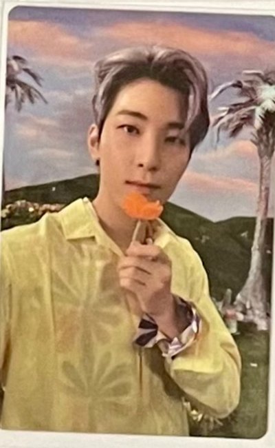 WONWOO|韓專卡 正四續/Mini10/Mini11