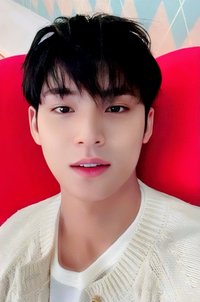 POL 專輯卡 CARAT ver.