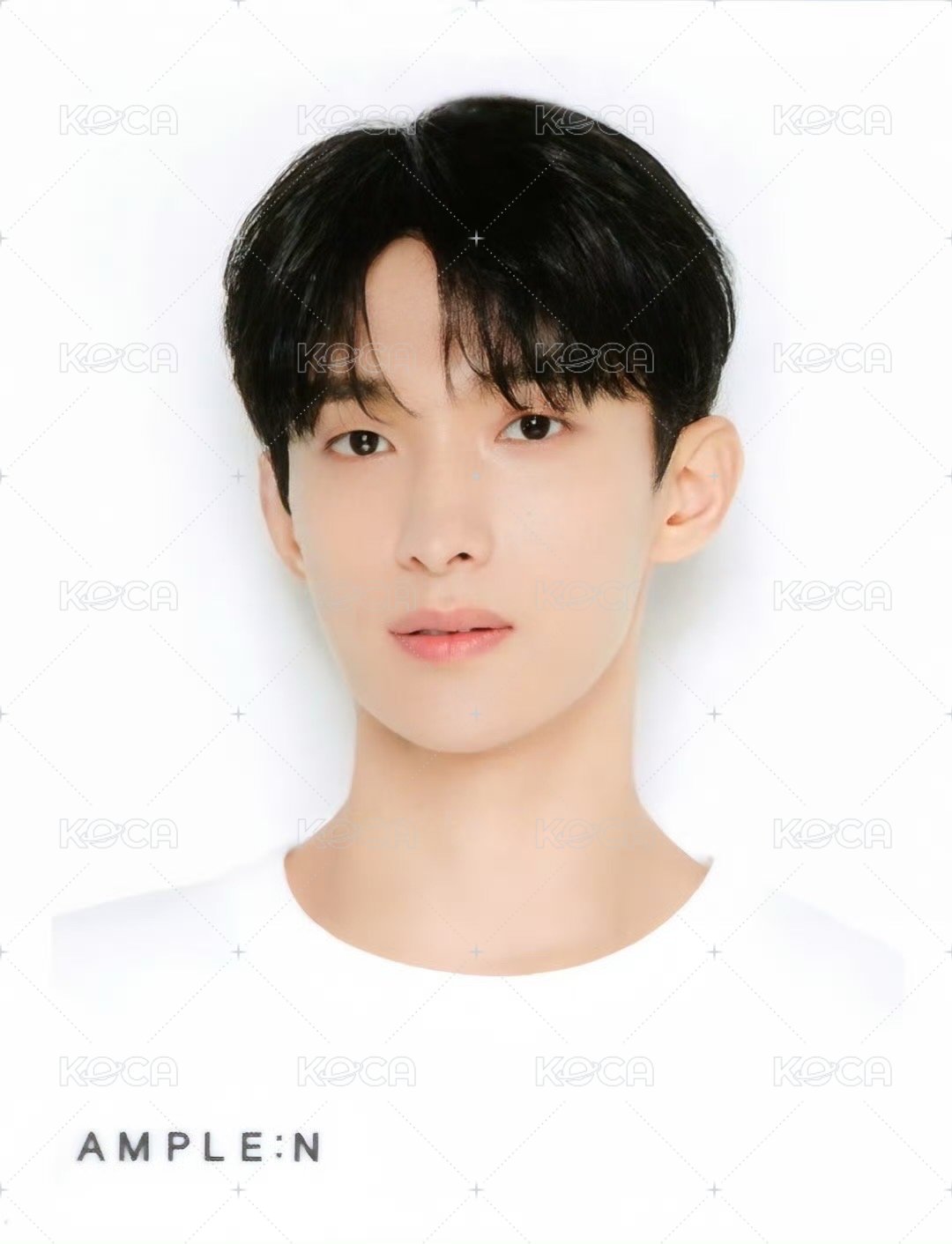 代言 代言卡 2025 ample:n 證件照特典 正面