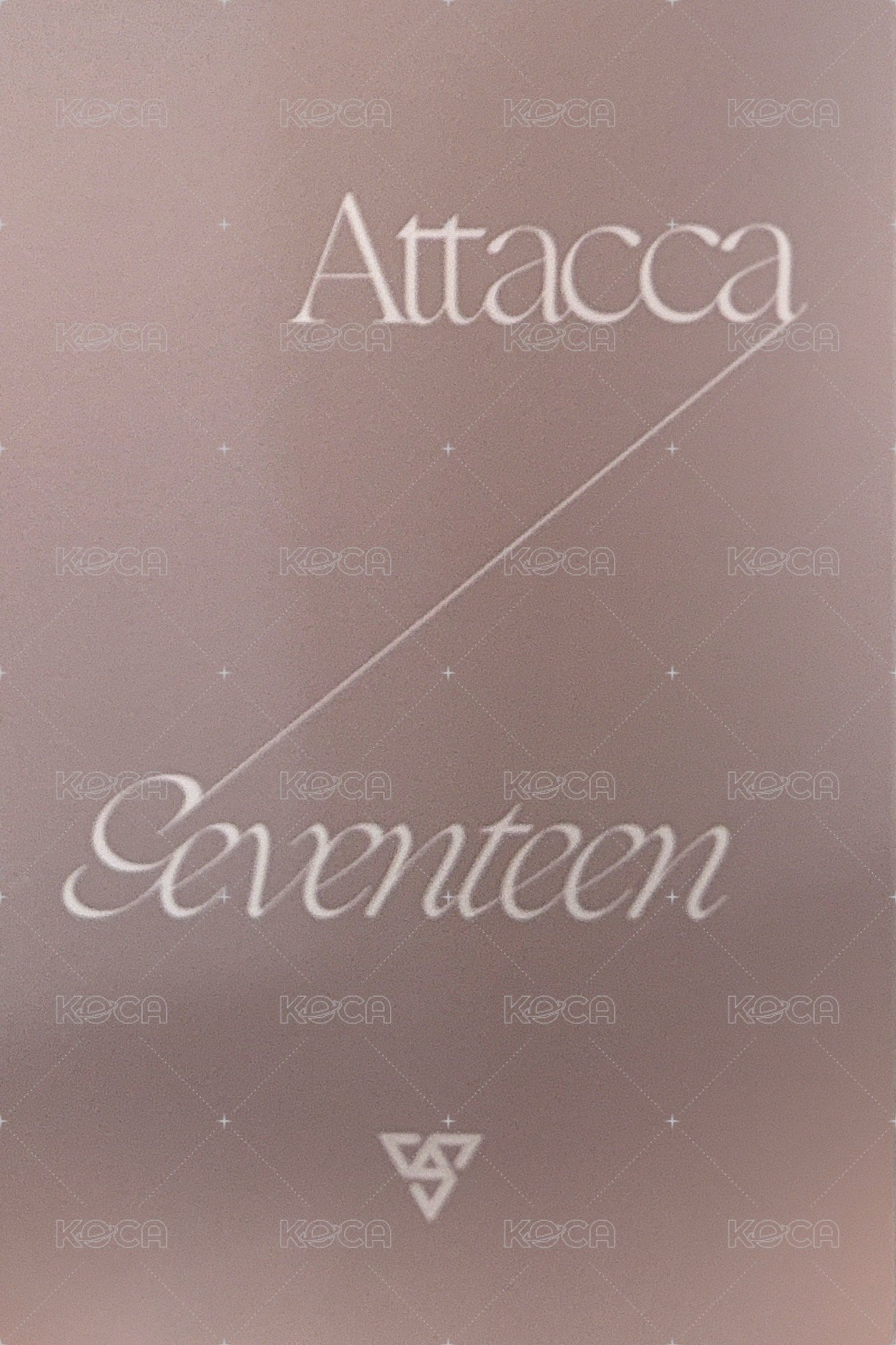 MINI9 sw 特典卡  背面