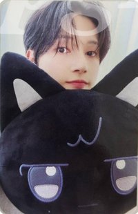 ANITEEZ IN ICE CITY 周邊卡 plush cushion