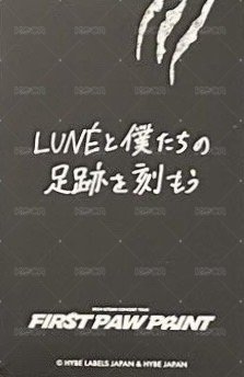 FPP 隨機卡 -3 背面