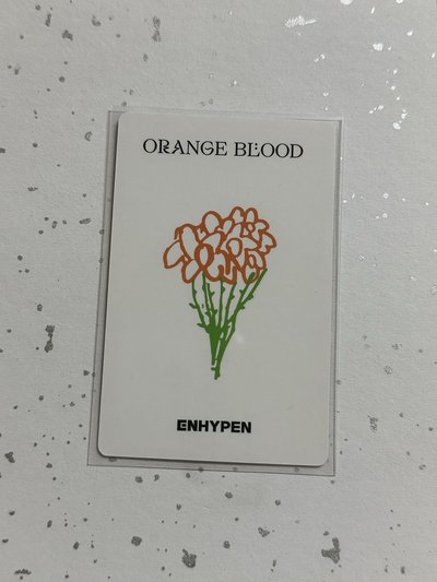 ENHYPEN 羲承 迷五一直娛簽售卡 青島線下簽售手繪卡