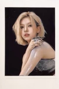 FORWARD sr 預售 特典卡 