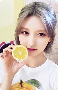 23年曆 新那拉 特典卡 