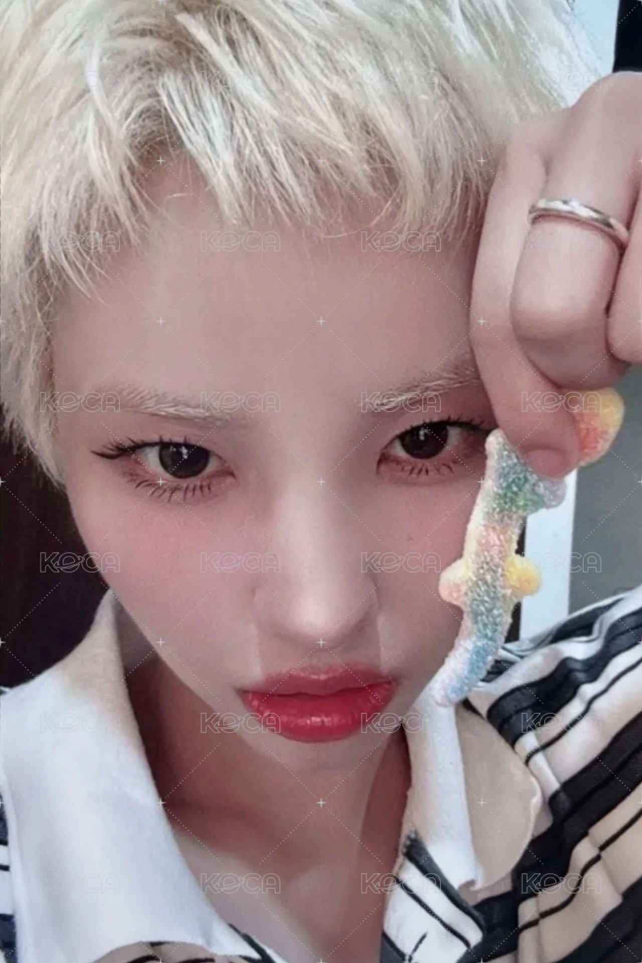 We are ms 線下4.0 簽售卡 軟糖 正面