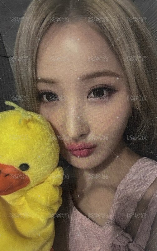 Born to be XX el ld 日本線下 特典卡  正面