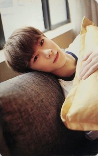 1st AROHA 周邊卡 小卡組