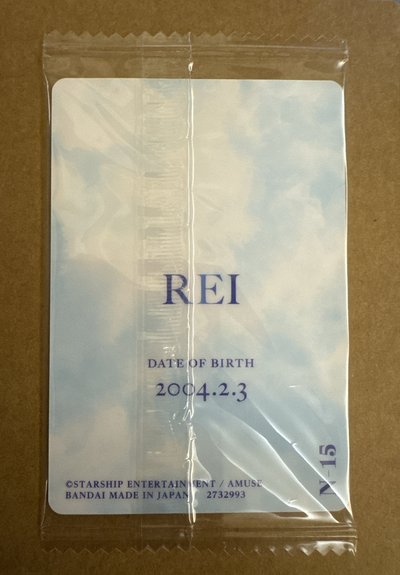 萬代 隨機卡 N15 餅乾卡Rei 