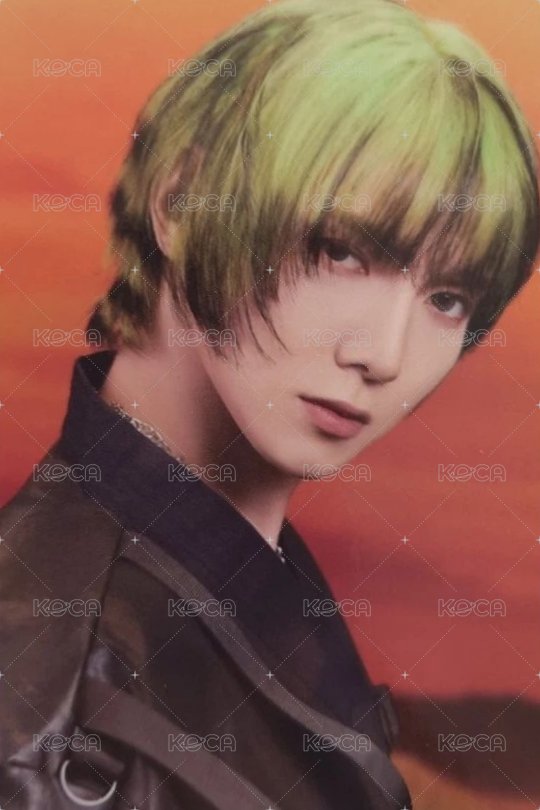 WILL 專輯卡 A ver. Z 正面