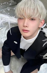 BTL 專輯卡 WVS Albums ver