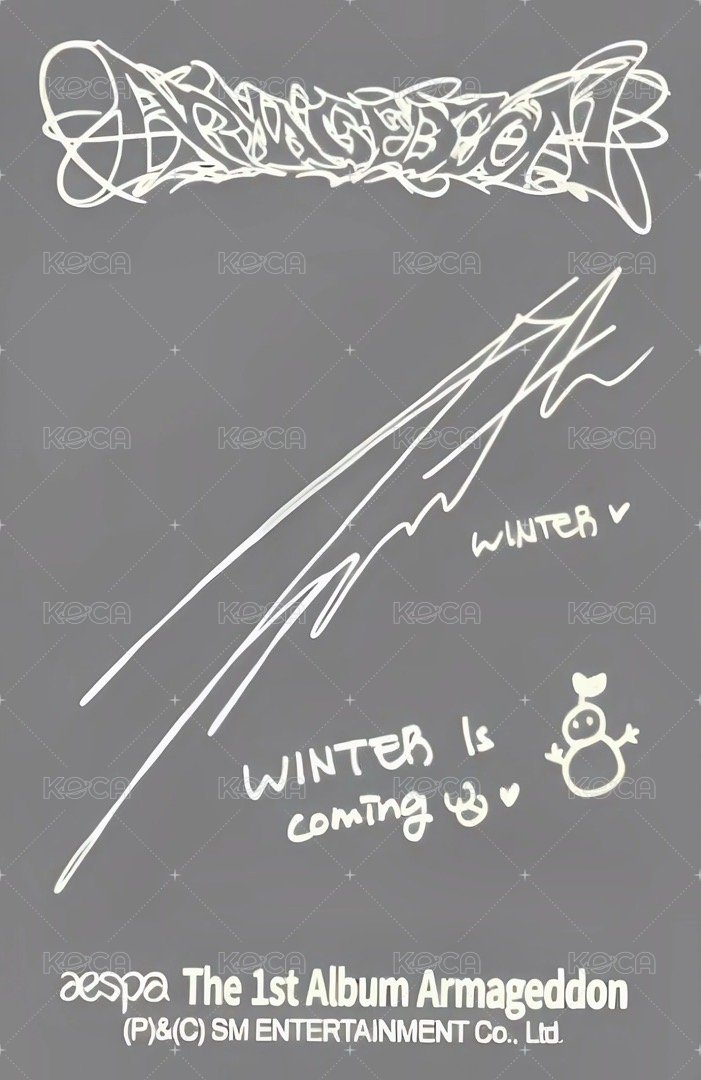 正規一 walmart 專輯卡 沃爾瑪冬專卡 背面