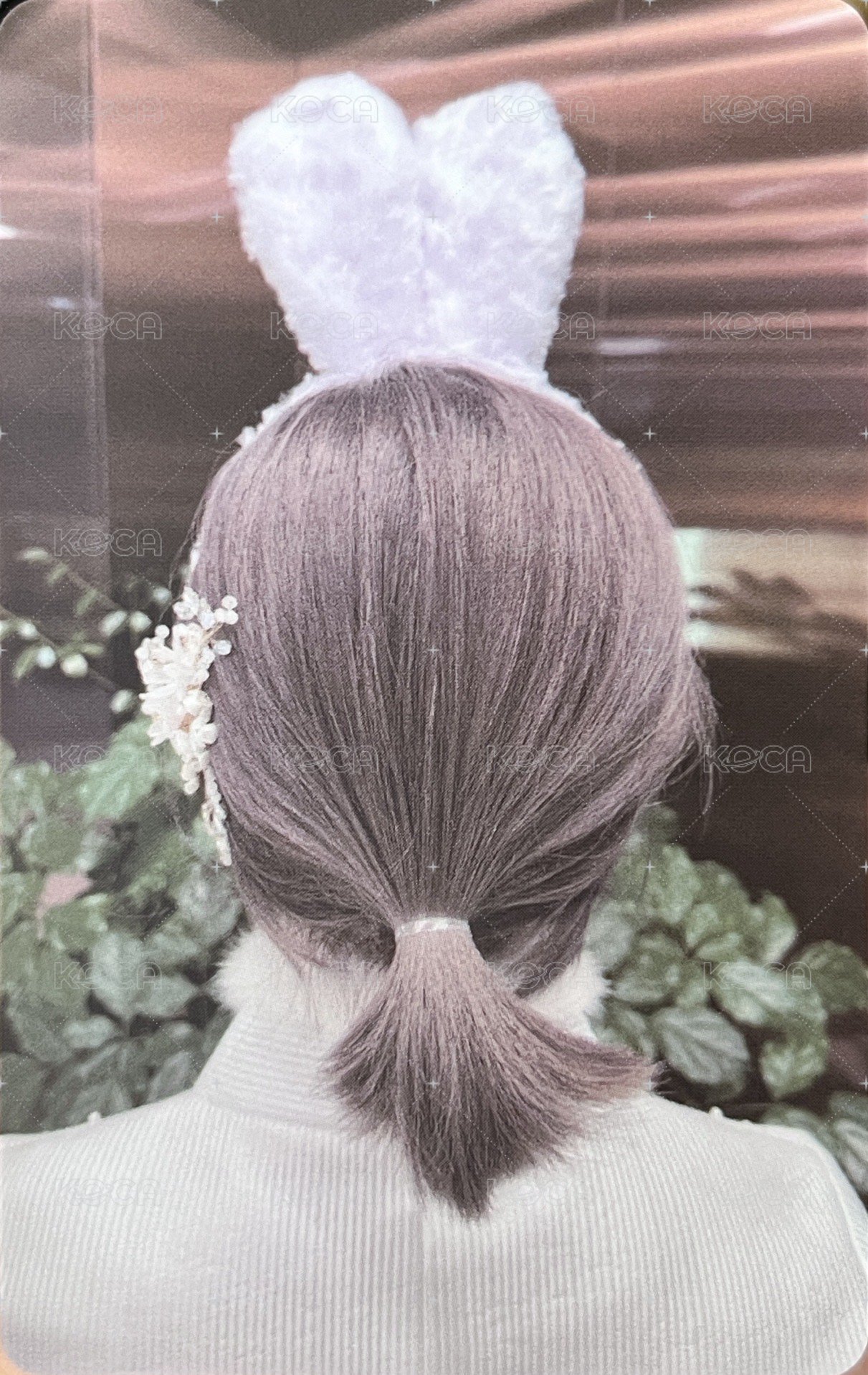 CHESHIRE sw 5.0 幸運卡  背面