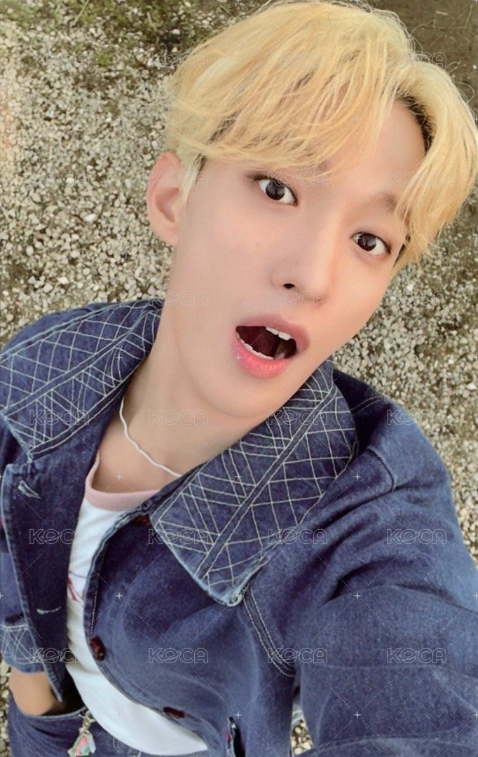 精選專 特典卡 精選輯｜感謝祭 正面