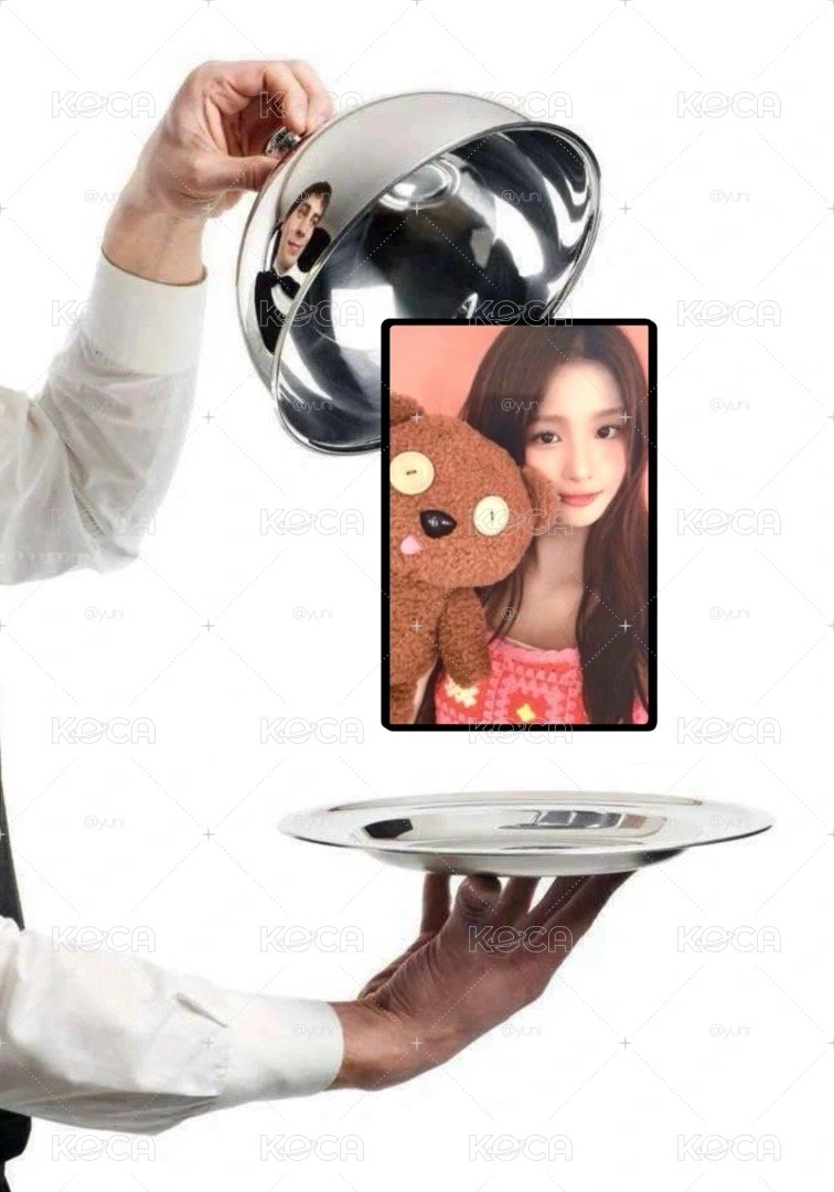 wm泰迪小熊薛