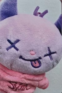 二巡 周邊卡 首爾安可場周 娃衣卡寧