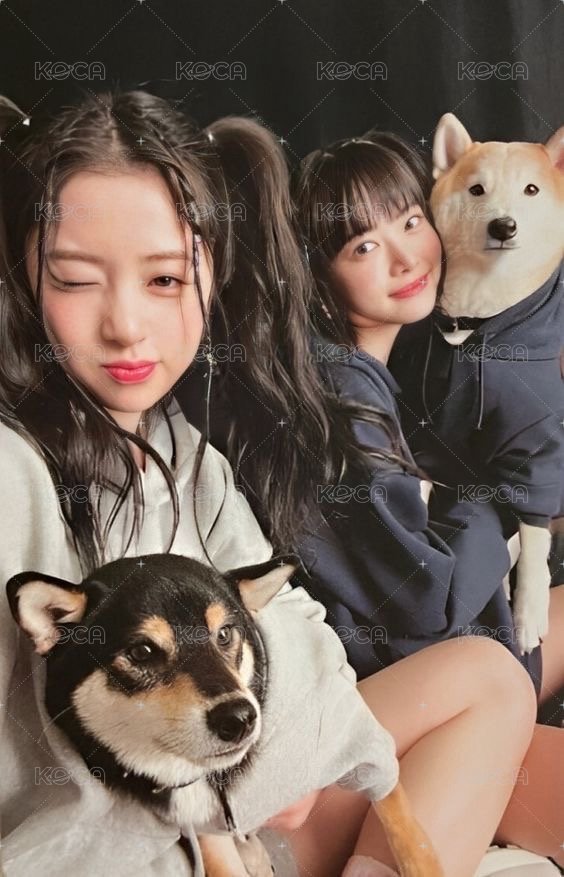 UNFORGIVEN 專輯卡 電子專雙人卡 正面