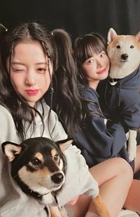 UNFORGIVEN 專輯卡 電子專雙人卡