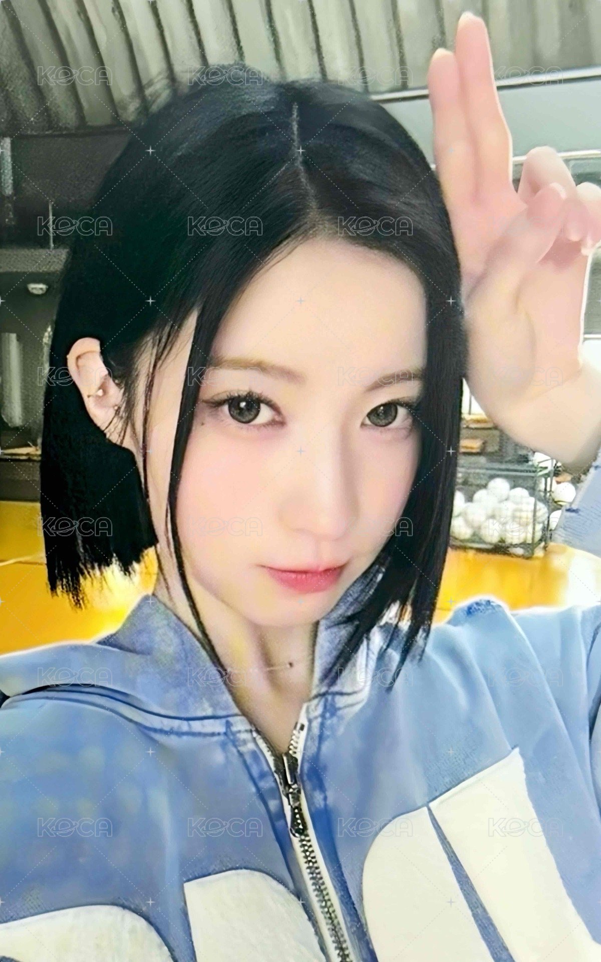 25’世巡 wvs 相框卡 周邊卡  正面