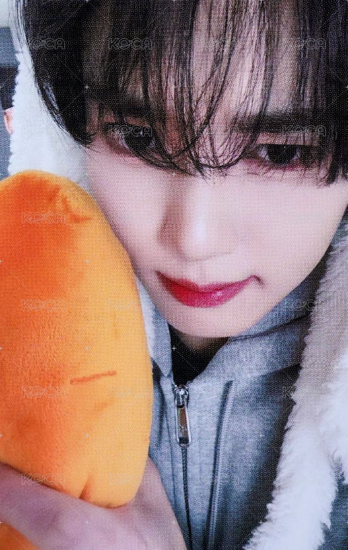 迷五 ms 特典卡 兔毯ver. 正面