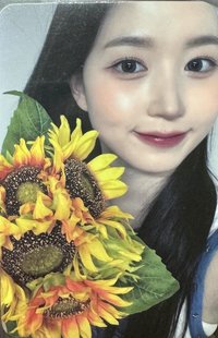 仲夏夜 sw 線上 3.0 簽售卡 向日葵