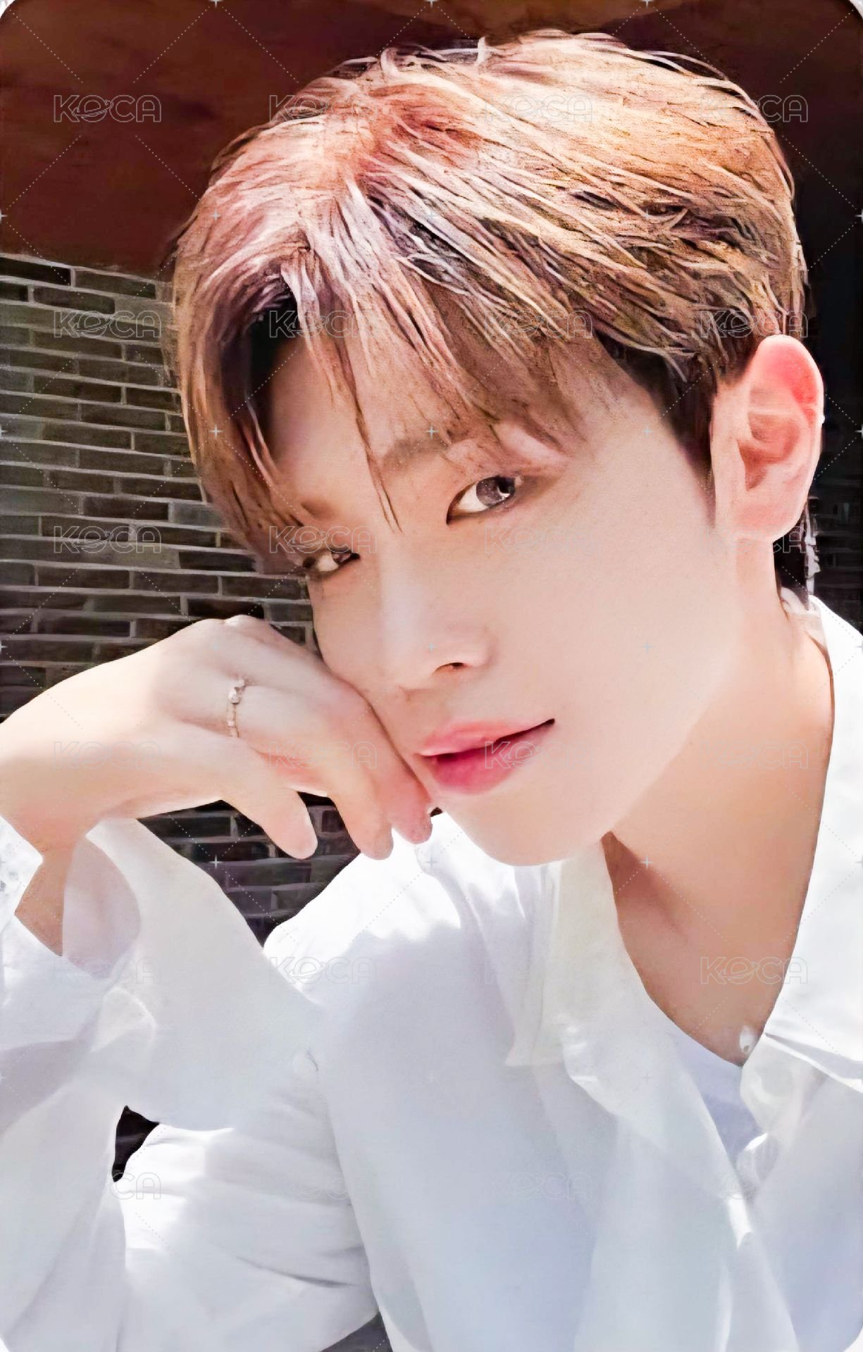 迷一 專輯卡 SHADE ver. 正面