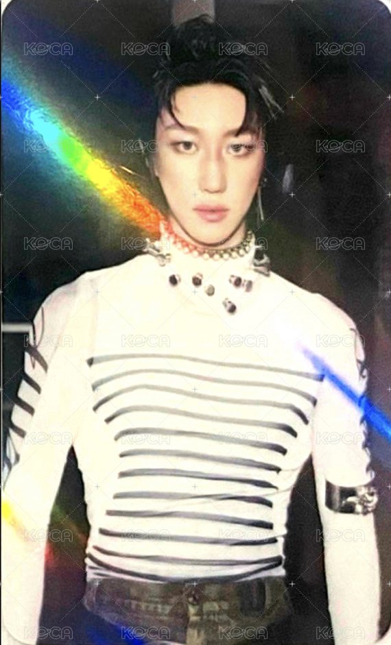 正五 ms 特典卡  正面