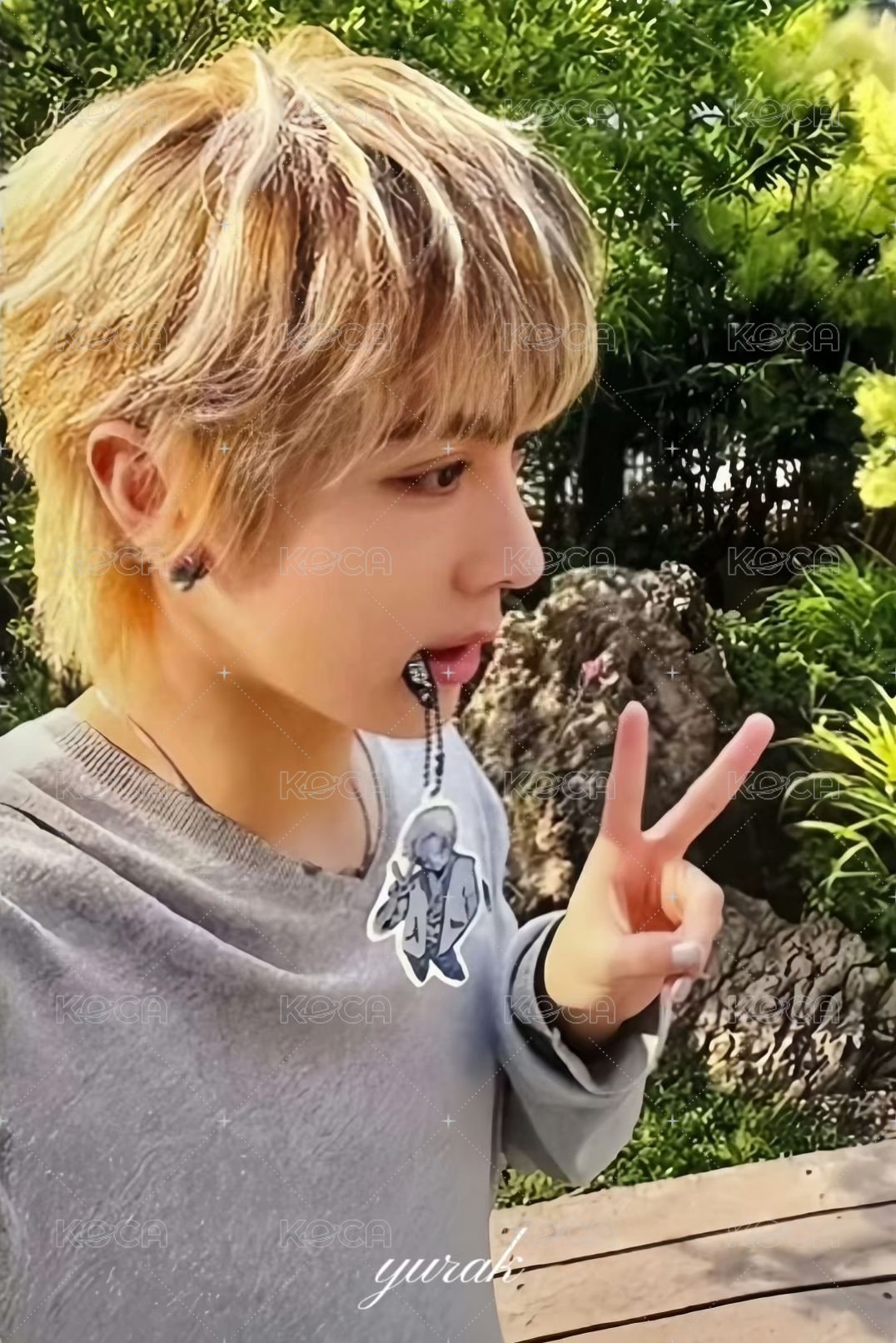 FAMOUS nemoz 特典卡  正面