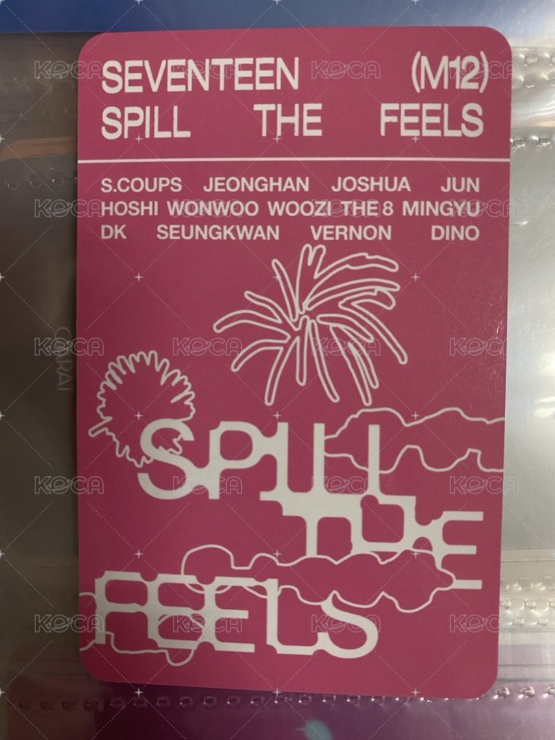 MINI12 專輯卡 ｜CARAT ver. 背面