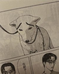 嚴選碳烤法式鹿肉串燒