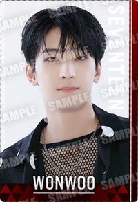 萬代聯名 周邊卡 威化餅乾貼紙