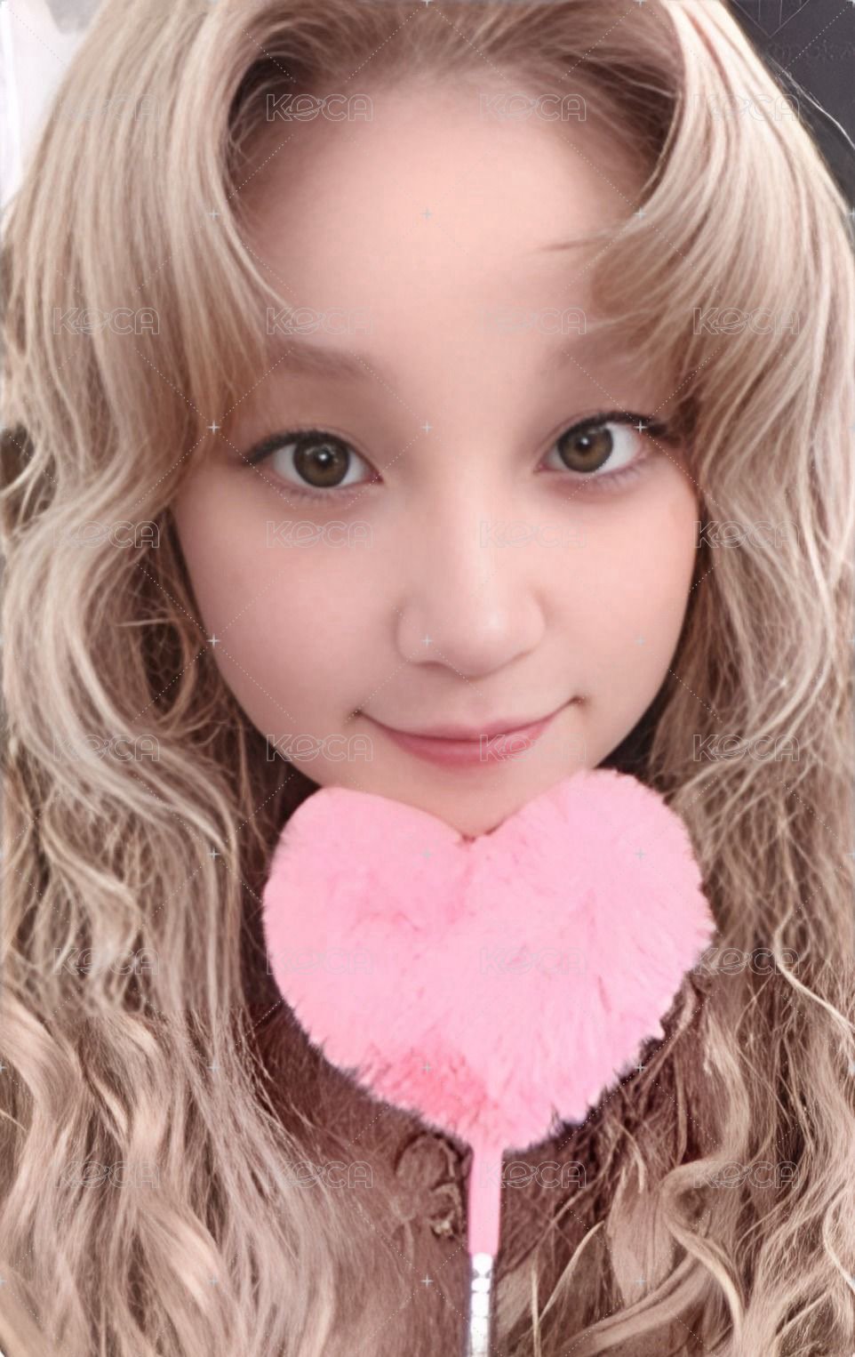 We are sr 特典卡 預售 正面