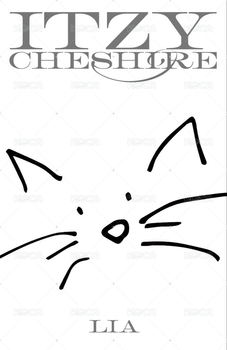 CHESHIRE 專輯卡 普版 背面