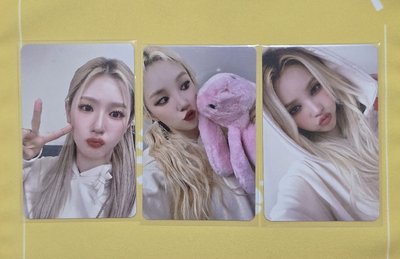 ANIBEAR衣服卡麵琦娟