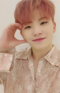 落花 專輯卡 CARAT ver