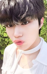 迷一 專輯卡 SHADE ver.