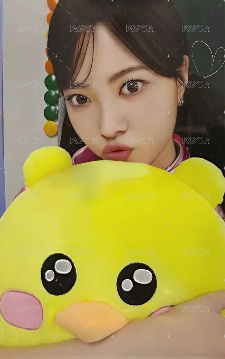 FIM’S CLUB 滿額卡 滿額卡抱枕ver. 正面