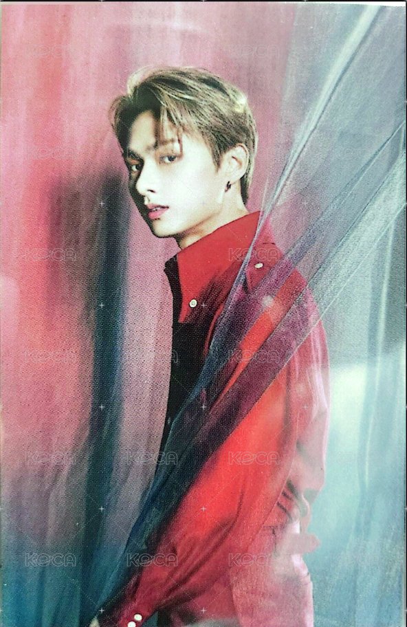 POL 隨機卡 卡包卡 正面